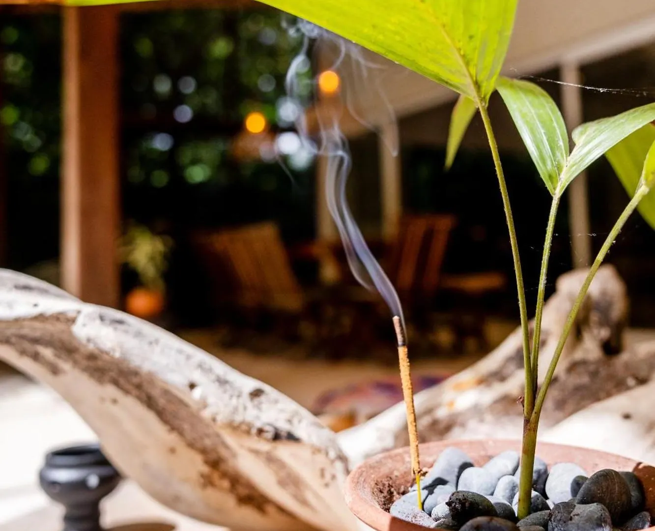 Exclusiva Villa En Tulum